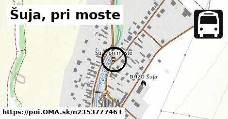 Šuja, pri moste