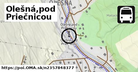 Olešná,pod Priečnicou