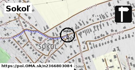 Sokoľ