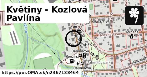 Květiny - Kozlová Pavlína