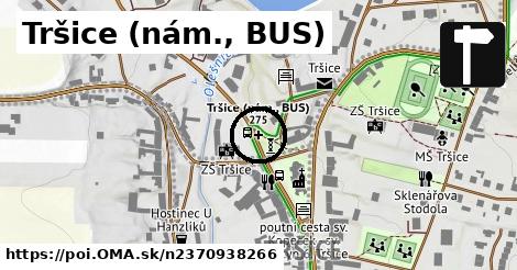 Tršice (nám., BUS)