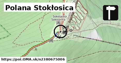 Polana Stokłosica