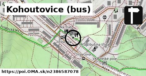Kohoutovice (bus)