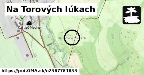 Na Torových lúkach