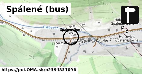 Spálené (bus)