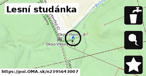 Lesní studánka