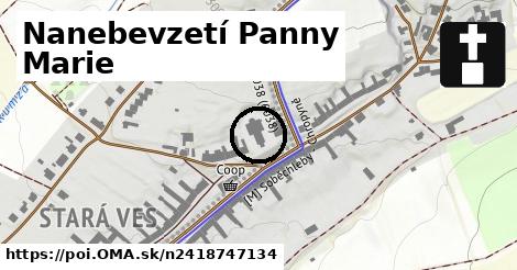 Nanebevzetí Panny Marie