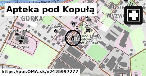 Apteka pod Kopułą