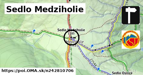 Sedlo Medziholie