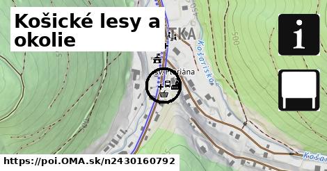 Košické lesy a okolie