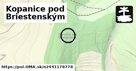 Kopanice pod Briestenským