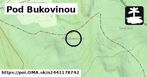 Pod Bukovinou