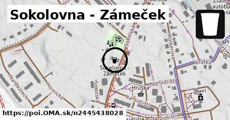 Sokolovna - Zámeček