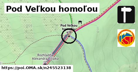 Pod Veľkou homoľou