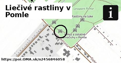 Liečivé rastliny v Pomle