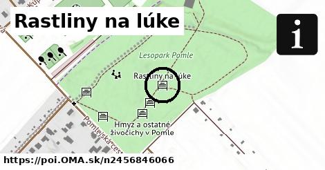 Rastliny na lúke