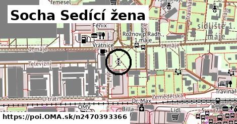 Socha Sedící žena