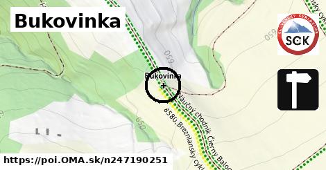 Bukovinka