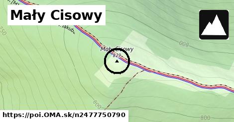 Mały Cisowy