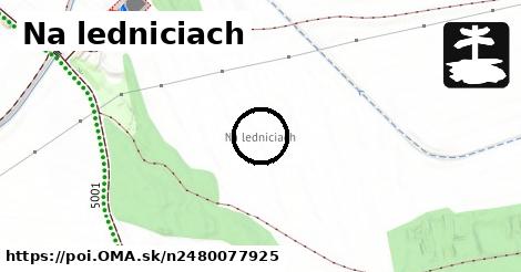 Na ledniciach