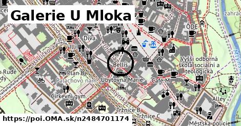 Galerie U Mloka