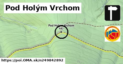 Pod Holým Vrchom