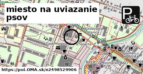 miesto na uviazanie psov