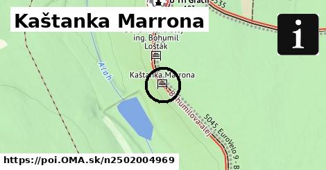 Kaštanka Marrona