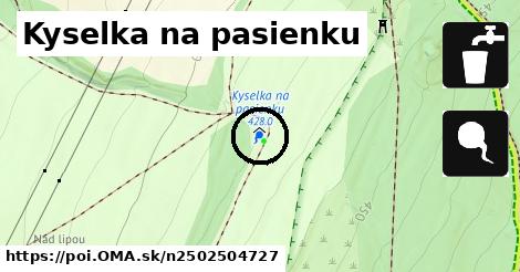 Kyselka na pasienku