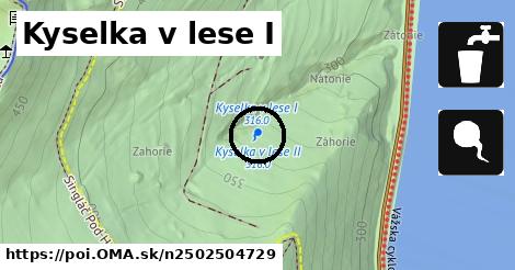 Kyselka v lese I