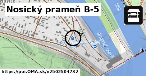 Nosický prameň B-5