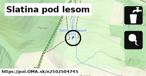 Slatina pod lesom