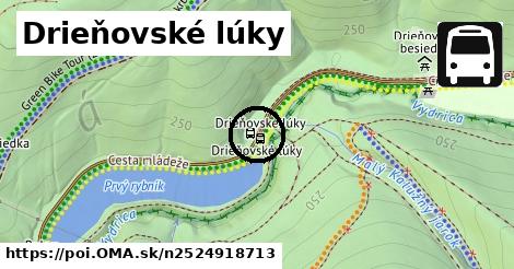 Drieňovské lúky