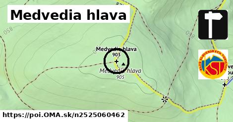 Medvedia hlava