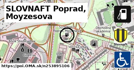 SLOVNAFT Poprad, Moyzesova