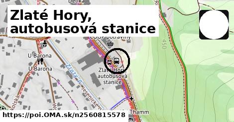 Zlaté Hory, autobusová stanice