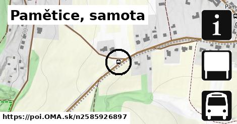 Pamětice, samota