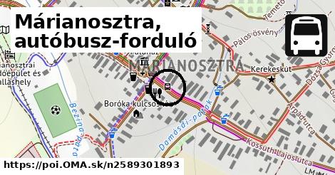 Márianosztra, autóbusz-forduló