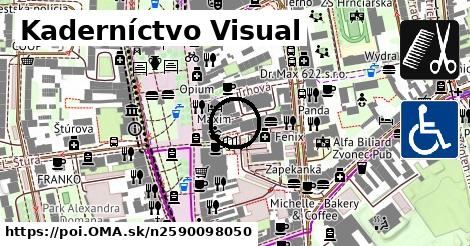 Kaderníctvo Visual