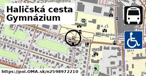 Haličská cesta Gymnázium