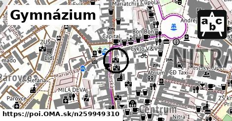 Gymnázium