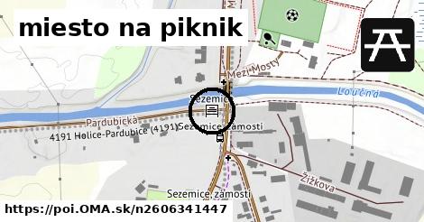 miesto na piknik