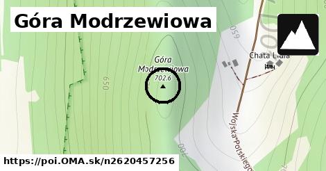 Góra Modrzewiowa