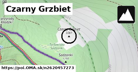 Czarny Grzbiet