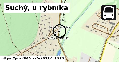 Suchý, u rybníka