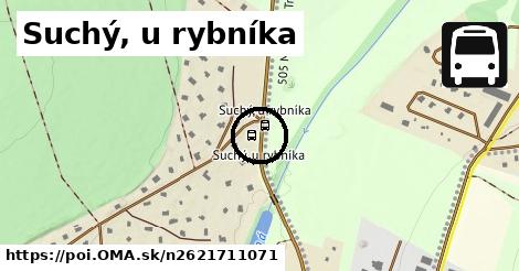 Suchý, u rybníka