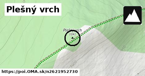 Plešný vrch