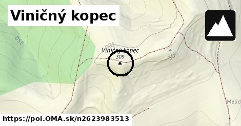 Viničný kopec