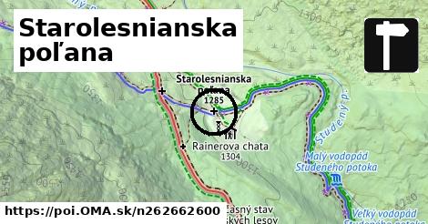 Starolesnianska poľana