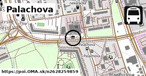 Palachova